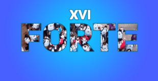 XVI edición del programa FORTE de la esi uclm