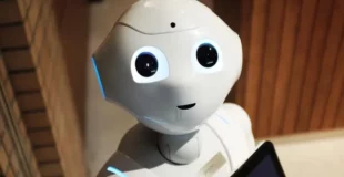 Robot afectivo para ayudar a personas mayores o dependientes. Proyecto grupo MAMI
