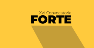 XVI Convocatoria FORTE