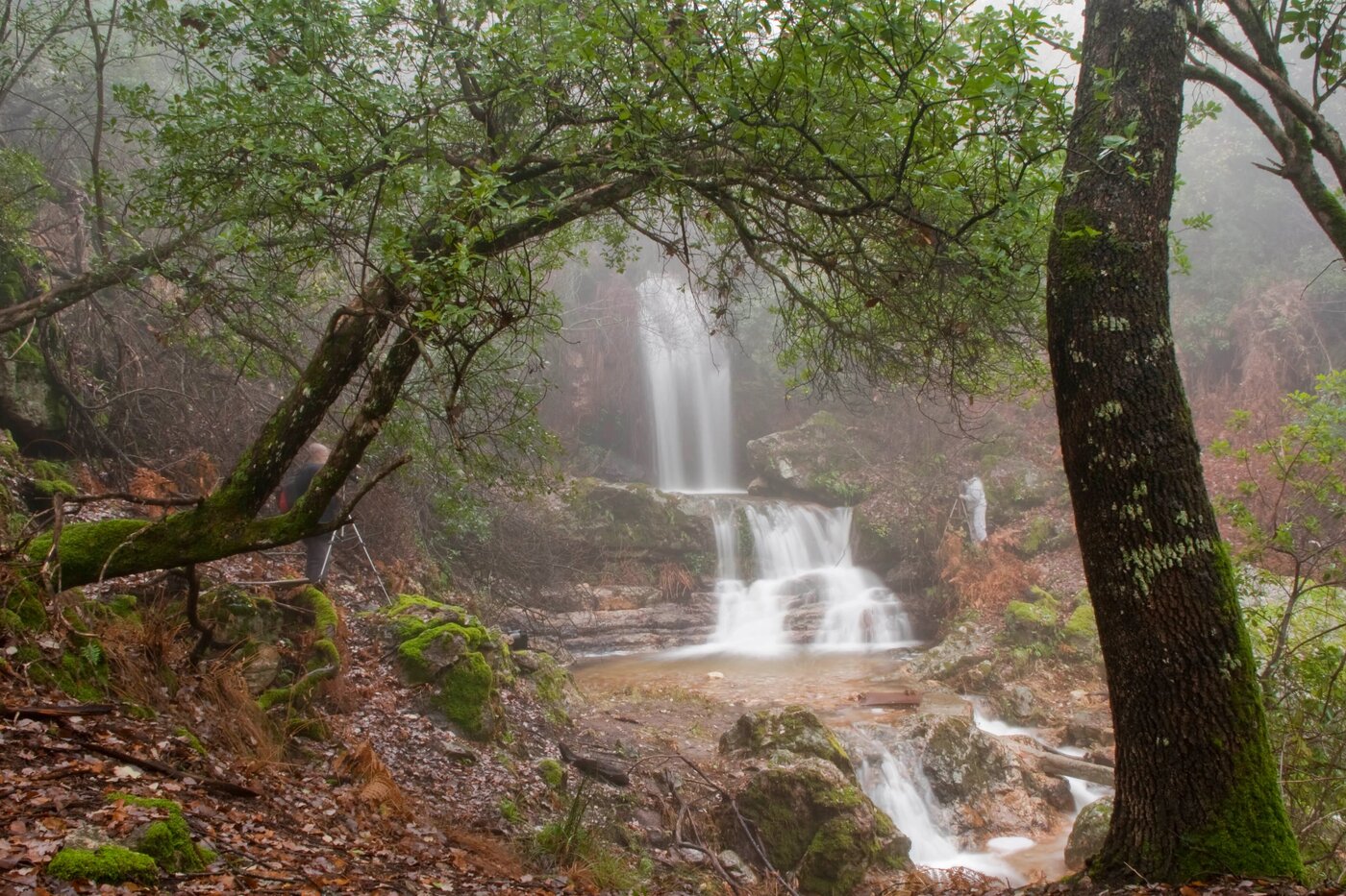 Chorrera Sierpes - Fuencaliente. Ruta de senderismo esi uclm