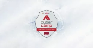 escudo de cybercamp