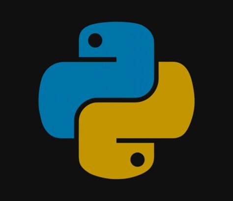 Logo python