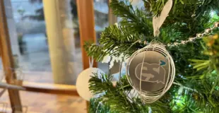 arbol de navidad ESI