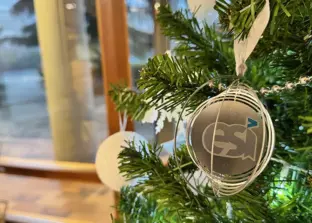 arbol de navidad ESI