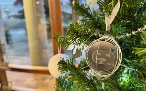 arbol de navidad ESI