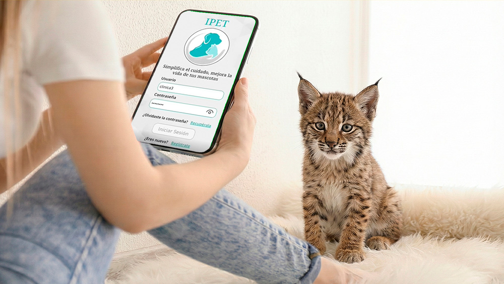 chica con app en teléfono móvil y cachorro de lince ibérico